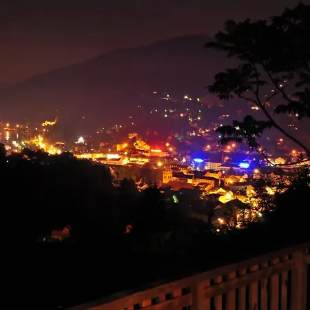 Maya, Belle Vue Lac, Sauna, Et Wifi Alpehytte Gérardmer